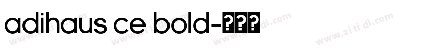 AdiHaus CE Bold字体转换